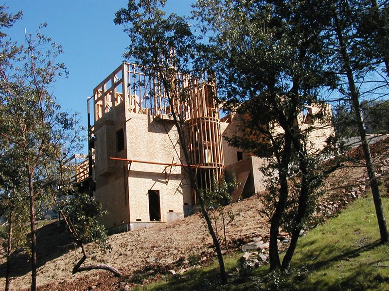 The same house framed, wrapped and sheathed, seen through trees