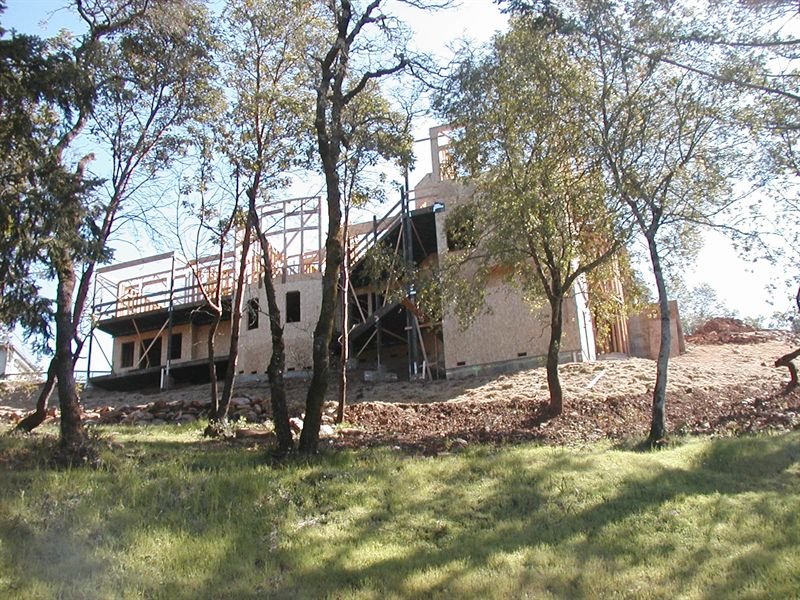 Finished house on a wooded lot with restored lawn